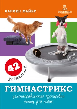 Гимнастрикс: целенаправленная тренировка мышц для собак
