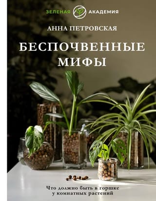 What should be in a houseplant pot? Unfounded myths