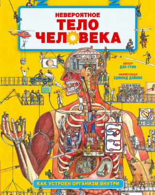 Neticamais cilvēka ķermenis: kā ķermenis darbojas tā iekšienē