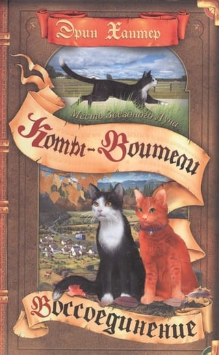 Starbeam's Revenge: 2. grāmata: Atkalapvienošanās
