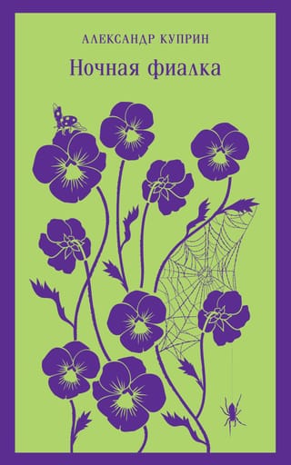 Night violet