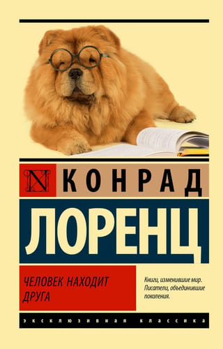 Человек находит друга