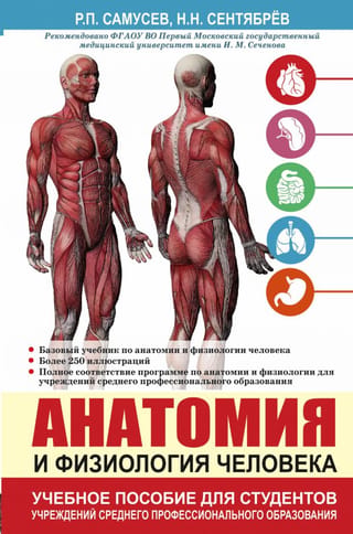 Cilvēka anatomija un fizioloģija