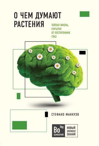 О чем думают растения: тайная жизнь, скрытая от посторонних глаз
