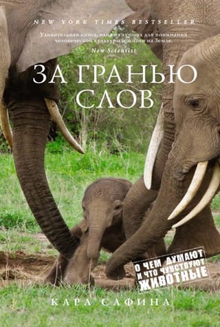 Beyond Words: What Animals Think and Feel