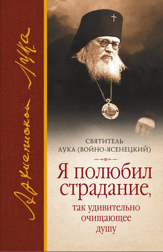 Я полюбил страдание, так удивительно очищающее душу