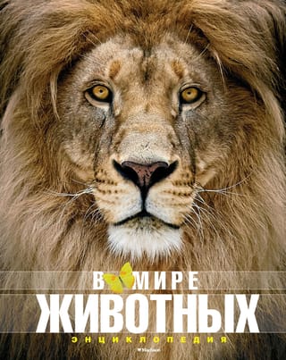 In the Animal World. Encyclopedia
