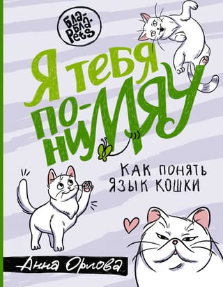 I understand you. How to understand a cat's language.