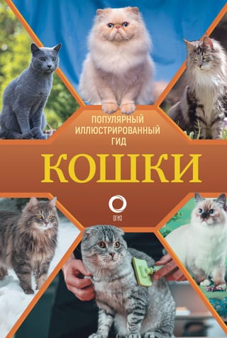 Кошки. Популярный иллюстрированный гид