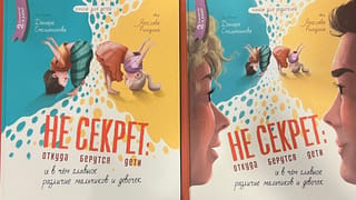 It's No Secret: Where Do Babies Come From and the Main Differences Between Boys and Girls. A two-book set for children and parents.