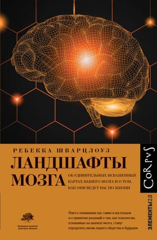 Ландшафты мозга. Об удивительных искаженных картах нашего мозга и о том, как они ведут себя по жизни