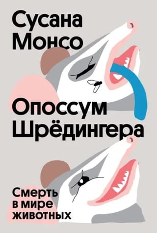 Опоссум Шредингера