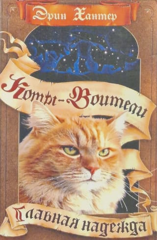 Zvaigžņu zīme. 6. grāmata. Galvenā cerība