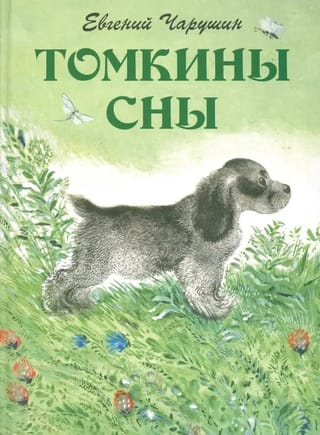 Tomkina sapņi