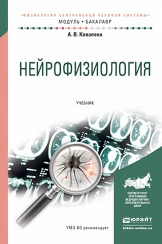 Нейрофизиология