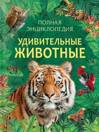 Amazing Animals: A Complete Encyclopedia