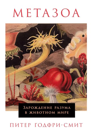 Metazoa: intelekta rašanās dzīvnieku valstībā
