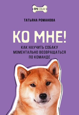 Come to me! How to teach a dog to return immediately on command