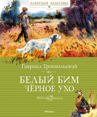 Balta Bima melna auss
