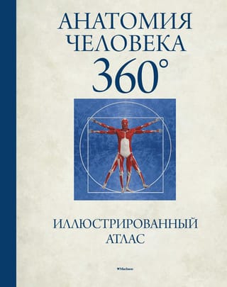 Cilvēka anatomija 360°. Ilustrēts atlants