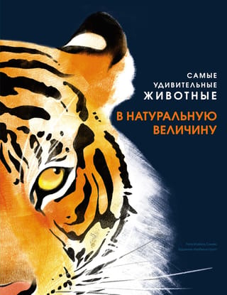 Самые удивительные животные в натуральную величину