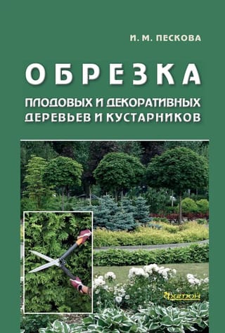 Обрезка плодовых и декоративных деревьев и кустарников