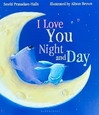 I Love You Night and Day