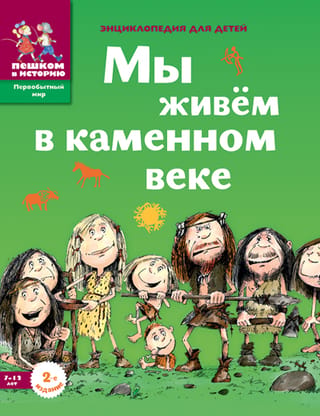 Мы живем в каменном веке