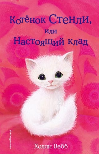 Котенок Стенли, или Настоящий клад