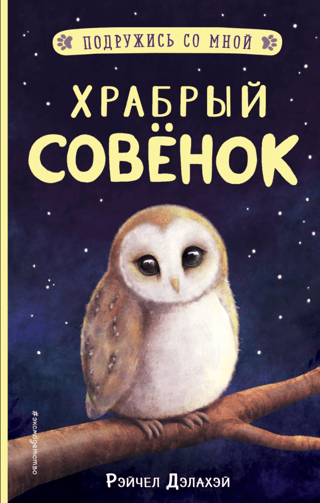 Drosmīga mazā pūce