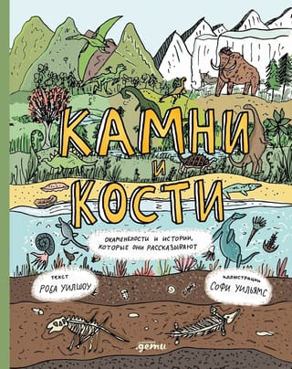 Rocks and Bones: Fossils and the Stories They Tell