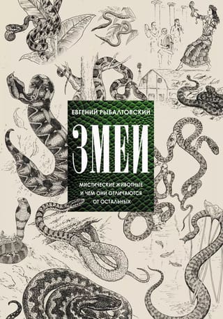 Snakes: Mystical Animals and How They Differ from Others