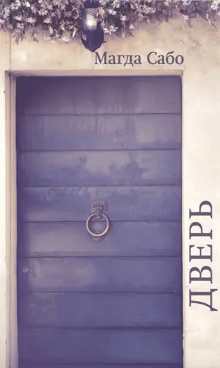 Дверь
