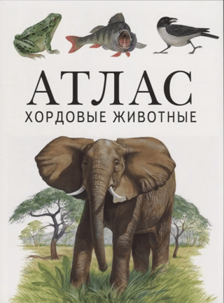 Chordates. Atlas