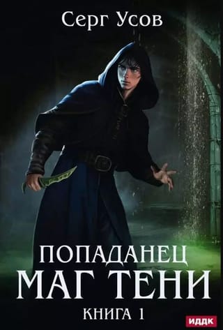 The Time Traveler. Shadow Mage. Book 1