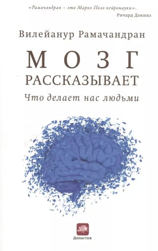 The Brain Tells Us What Makes Us Human