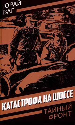 Катастрофа на шоссе
