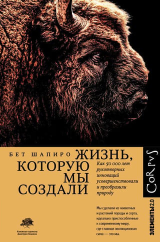 Жизнь, которую мы создали