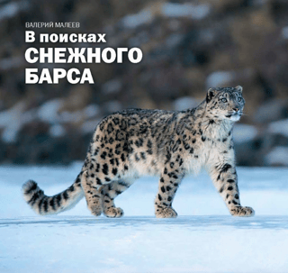 В поисках снежного барса