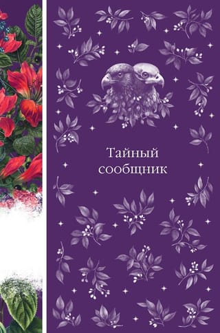 Тайный сообщник. Сборник рассказов зарубежных писателей