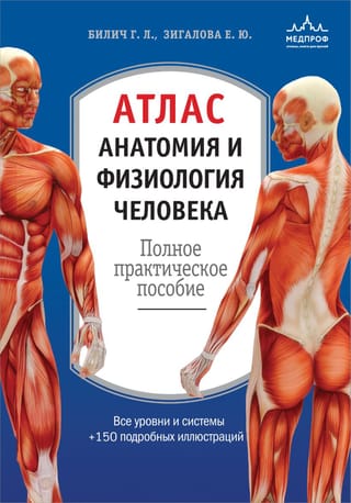 Атлас. Анатомия и физиология человека: полное практическое пособие