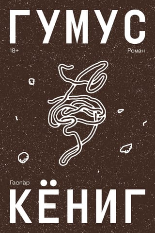Гумус