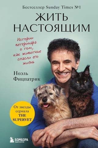 Жить настоящим. Истории ветеринара о том, как животные спасли его жизнь