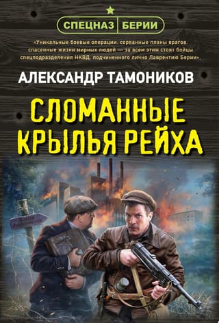 Сломанные крылья рейха