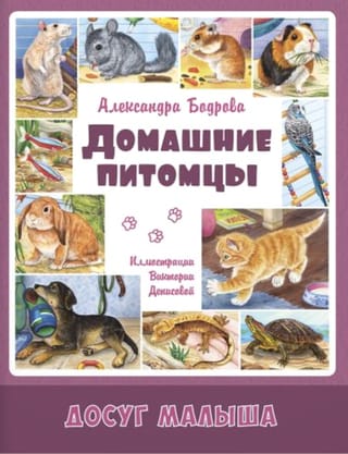 Домашние питомцы