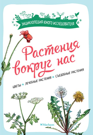Растения вокруг нас. Цветы. Лечебные растения. Съедобные растения
