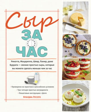 Сыр за час