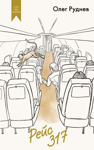 Flight 317