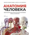 Анатомия человека. Визуальный гид по всем системам организма: норма и патологии