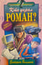 Кто украл роман?